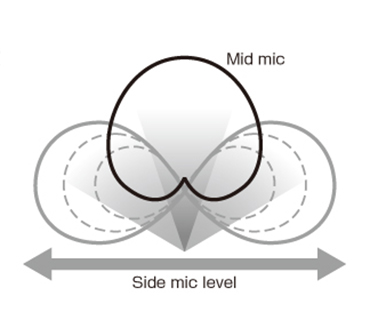 Mid Mic Side Level H6 microfoon