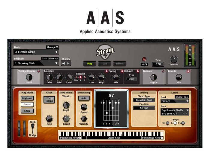 AAS Strum GS 2