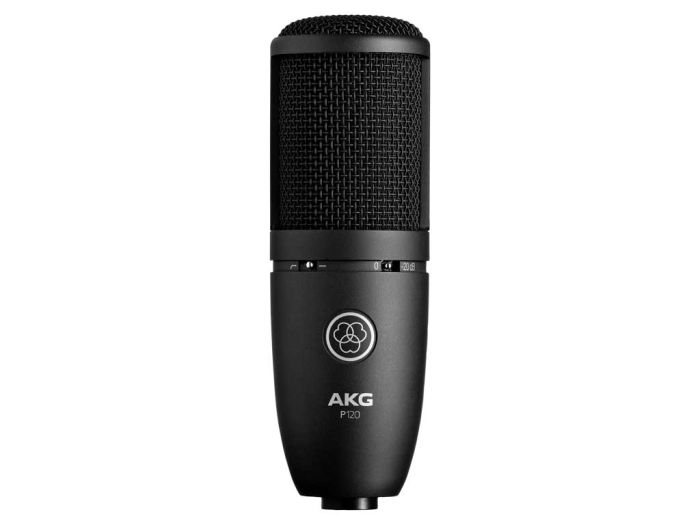 AKG P120
