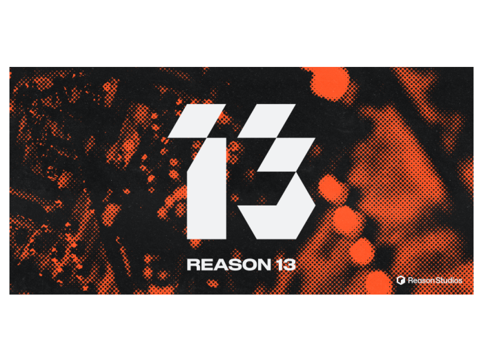 Reason 13