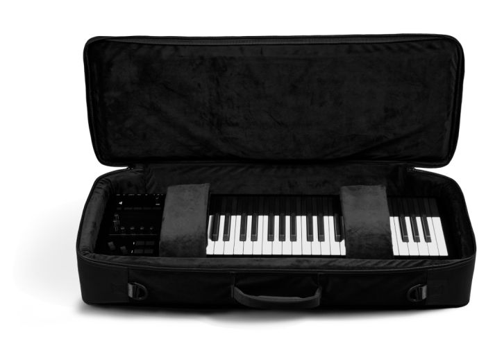 Expressive E Osmose 49 Softcase