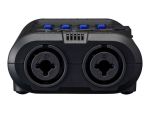 Zoom R4 MultiTrak Ingangen