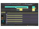 Ableton Live 12 Suite Upgrade 12 Standard