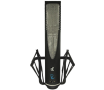 sE Electronics RNR1