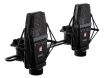 sE Electronics sE4400 P