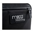 Moog Model D Bob Moog Tribute Edition Tas Detail 2